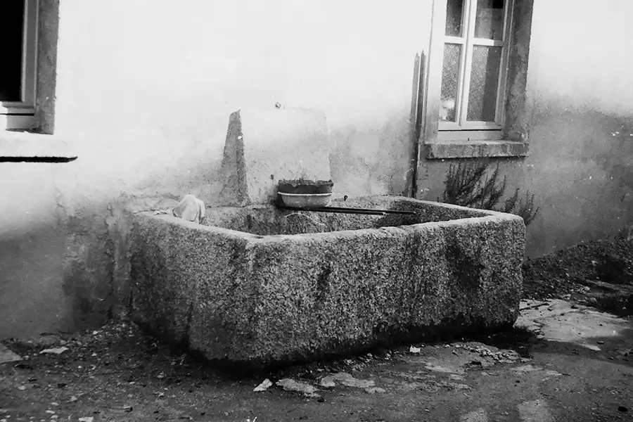 corpo B orto botanico valmadrera xx secolo