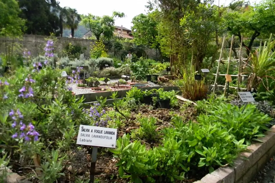 interno orto botanico valmadrera oggi