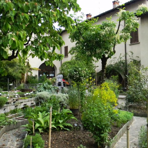 interno oggi orto botanico valmadrera 02