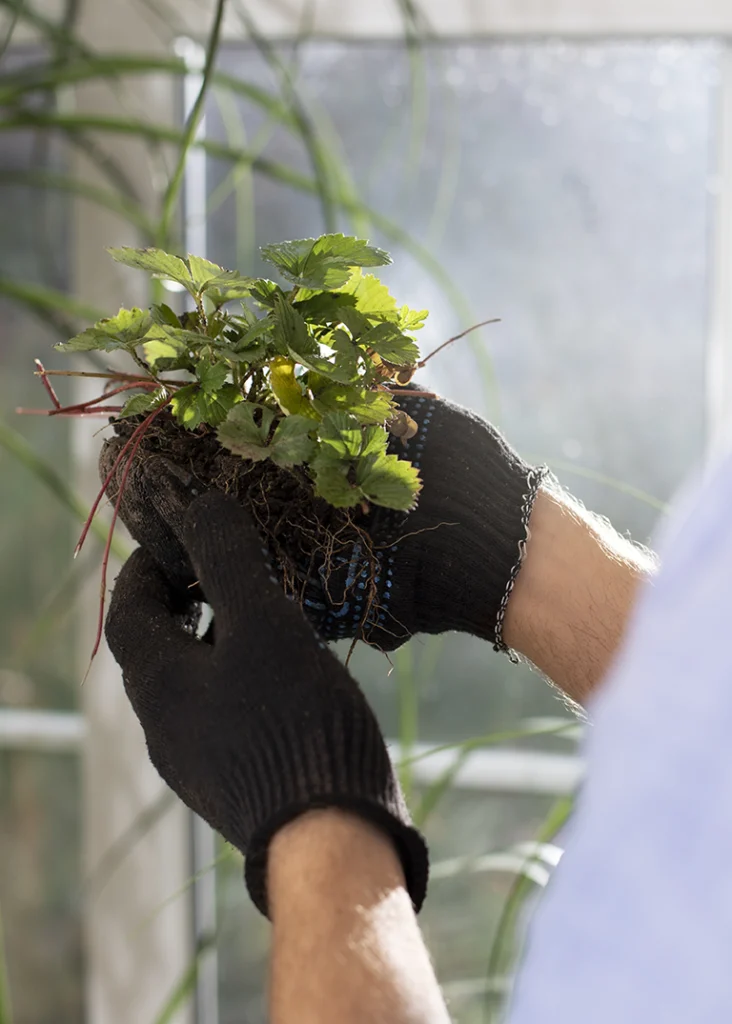 orto botanico valmadrera conservazione della biodiversita