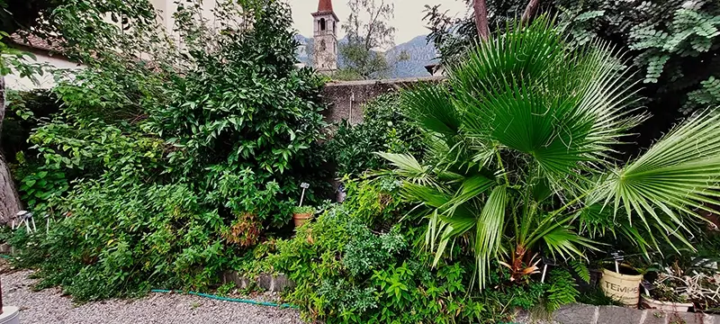 orto botanico valmadrera zona arido rocciosa