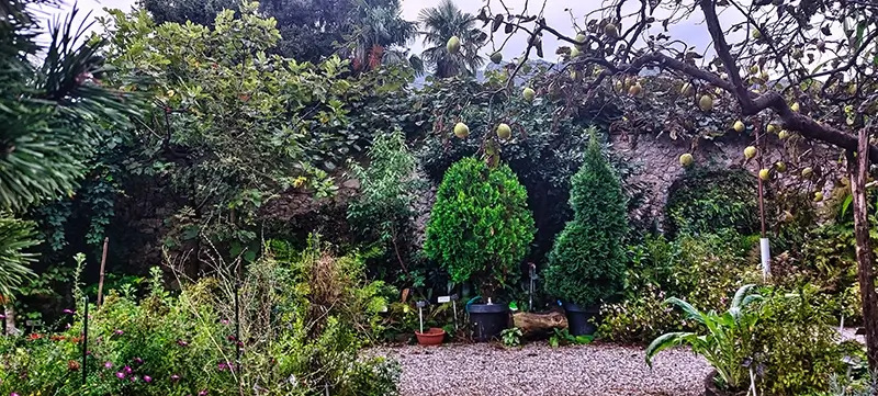 orto botanico valmadrera zona umido ombrosa